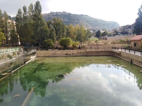 Restaurant Bouheiret Jezzine — photograph 6