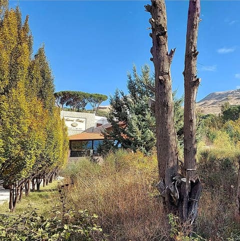 Hotel el Rami — photograph 5