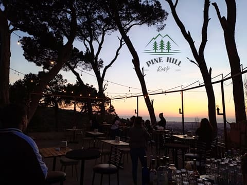 pine hill — photograph 5