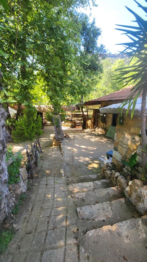 Jannat Al Nahryn — photograph 5