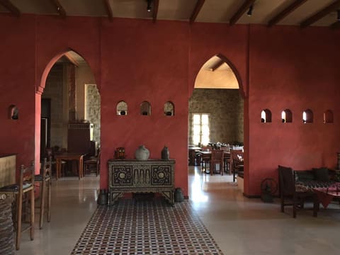 al innab — photograph 3