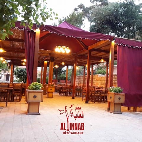 al innab — photograph 4