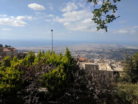 al innab — photograph 5