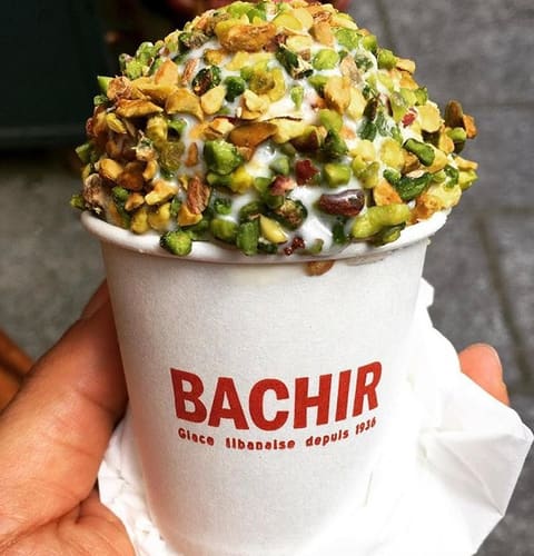 Bachir — photograph 2