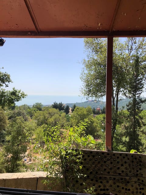 rabhet zeina — photograph 5
