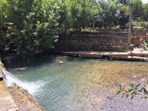 Fawar Al Hasbani — photograph 3