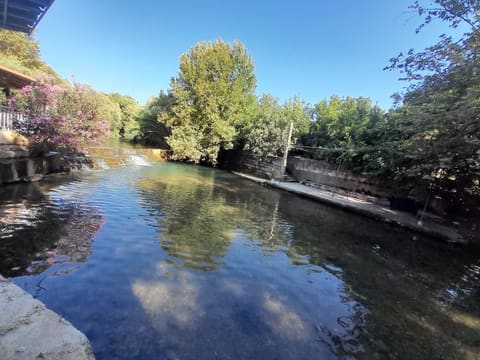 Fawar Al Hasbani — photograph 5