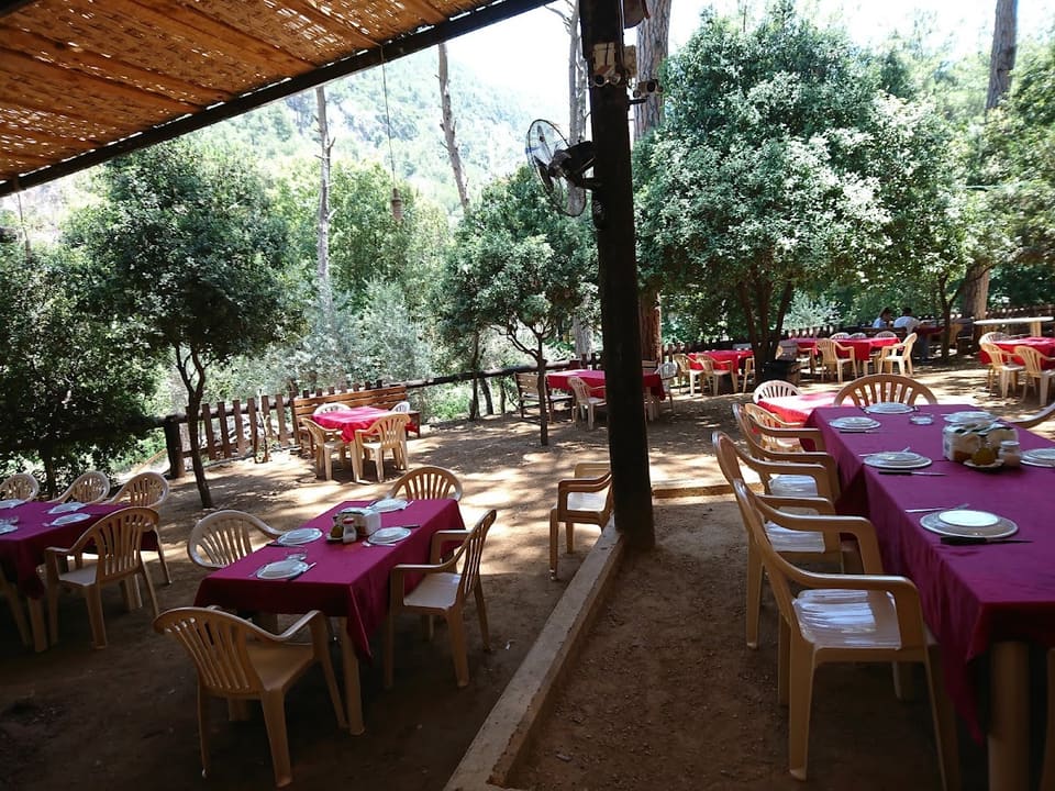 Al Chehara
