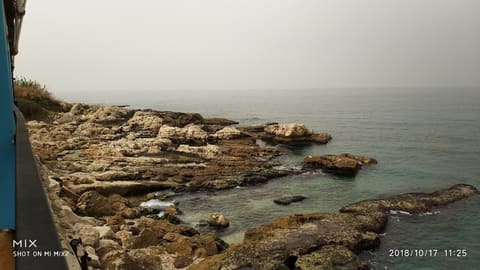 Abo Toni resto — photograph 6