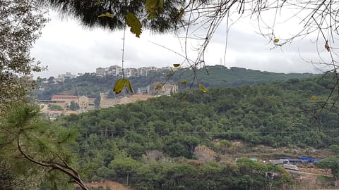 Mon Mareshal — photograph 3