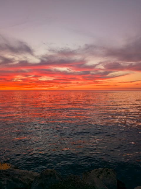 Margherita — photograph 5