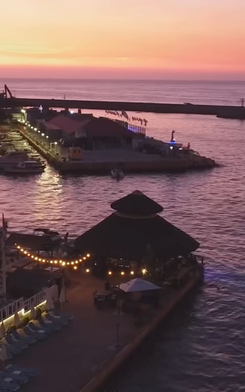 Tiki Bar — photograph 4