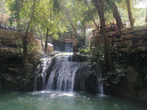 El rio — photograph 2