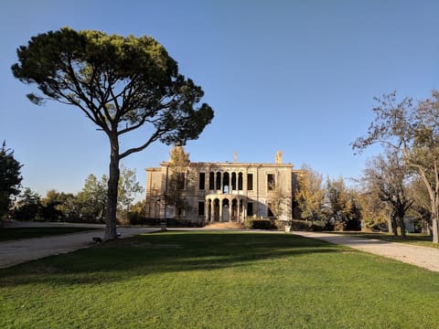 Donna maria sursock gardens — photograph 6