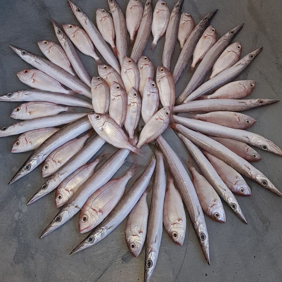 fish food takeaway