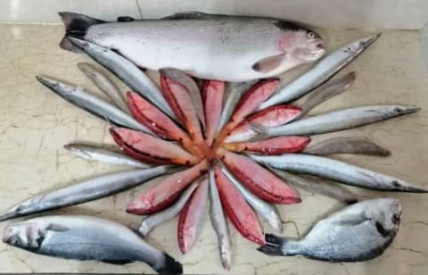 fish food takeaway — photograph 2