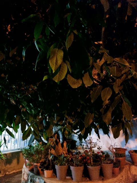 patelaria da tina — photograph 6