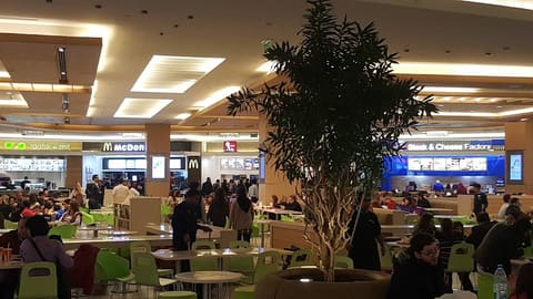 Zaatar w Zeit — photograph 6