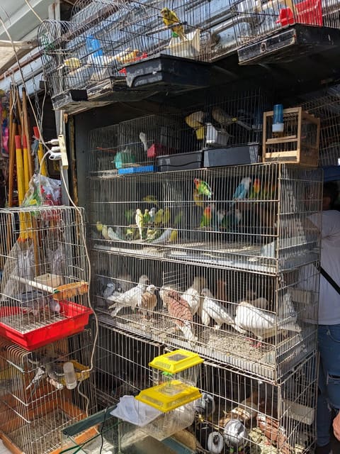 Souk al Ahad — photograph 2