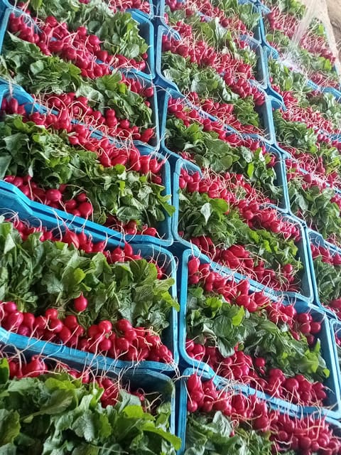 Ferzol Vegetable & Fruits Marketplace — photograph 2