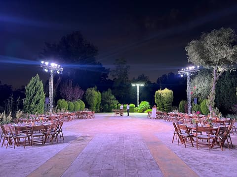 Lilium Venue — photograph 4