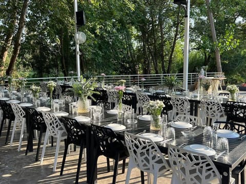 Lilium Venue — photograph 5