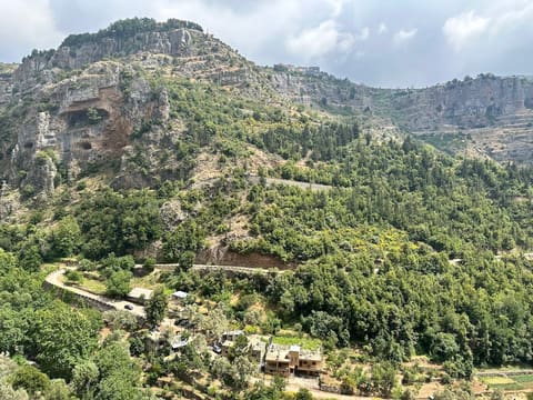Monastery Of Mar Lishaa — photograph 4