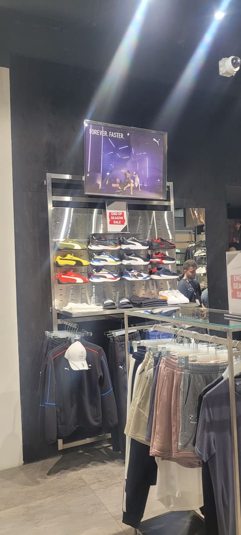 Puma — photograph 3