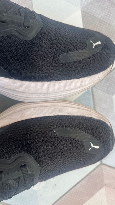 Puma — photograph 6