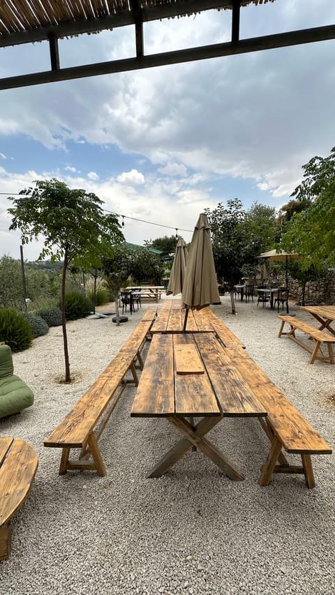 Aurora Winery — photograph 4