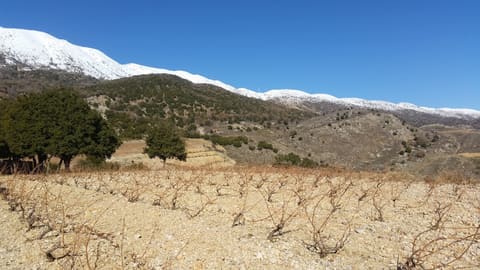 Château Qanafar — photograph 2