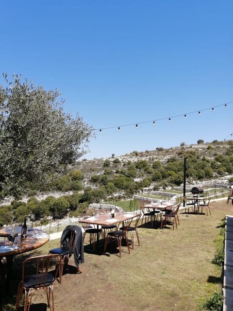 Sept Winery — photograph 3