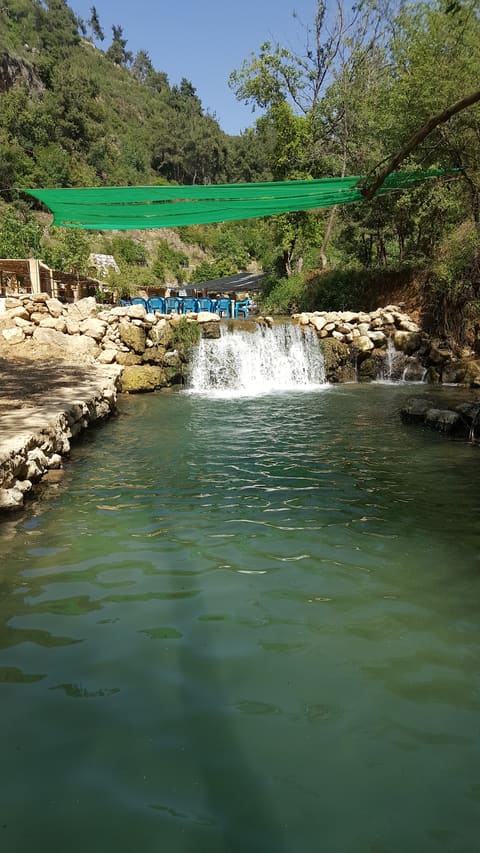 Shalalat Sofsaf — photograph 3