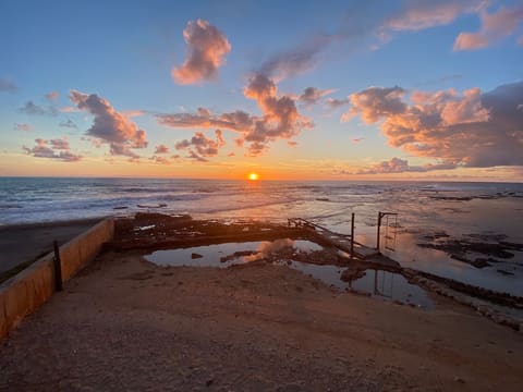 Colonel Reef — photograph 5