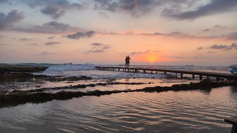 Colonel Reef — photograph 6