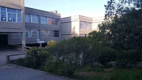 Mont La Salle Greenery — photograph 6