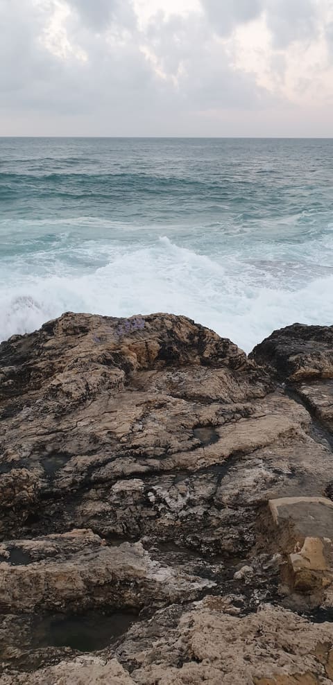 AUB Beach Resort — photograph 4