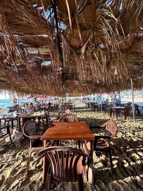 public beach — photograph 6