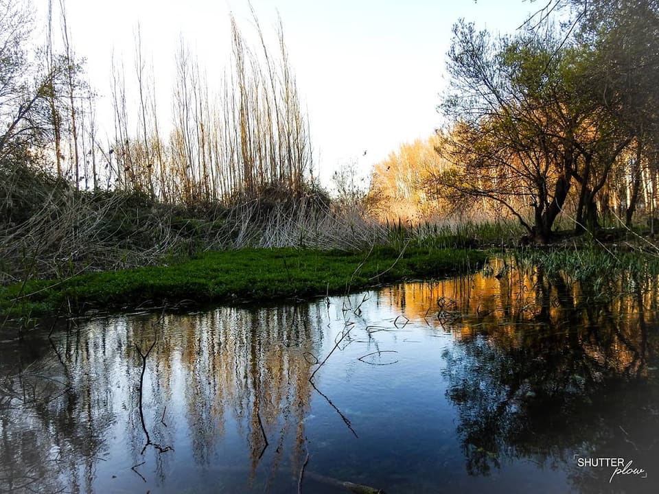 anjar preserve