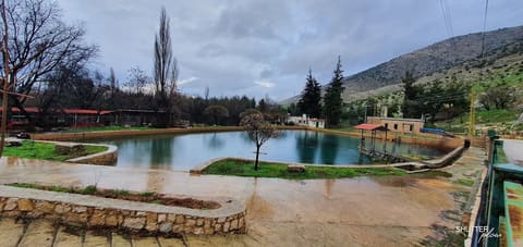 anjar preserve — photograph 2