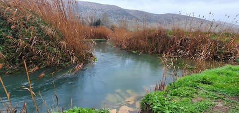 anjar preserve — photograph 4