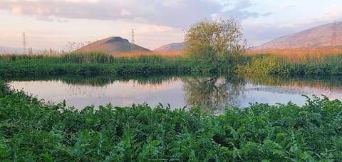 anjar preserve — photograph 6