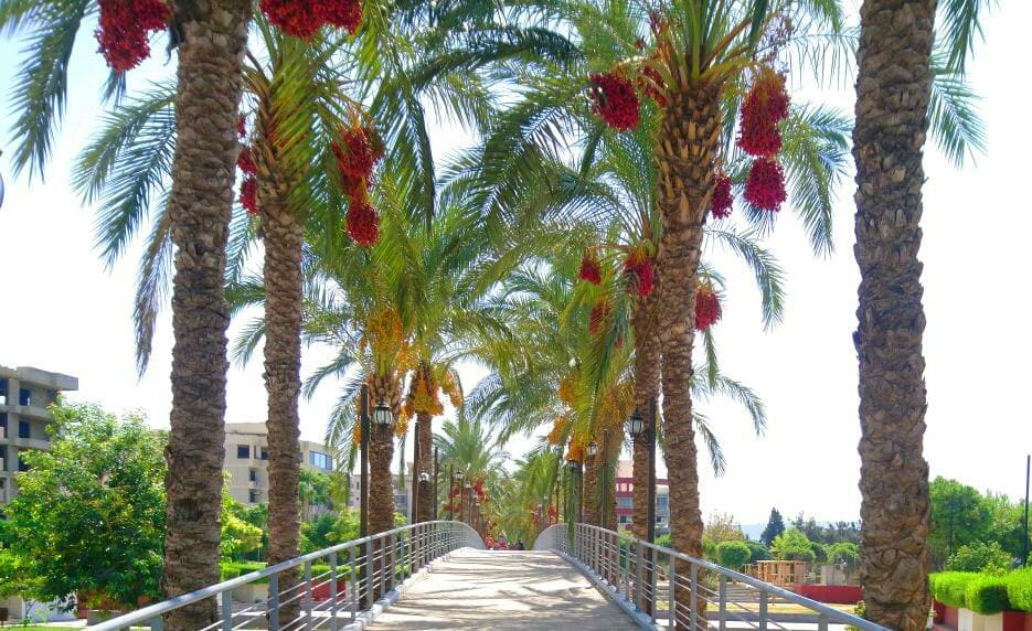 King Fahd Park and Playground