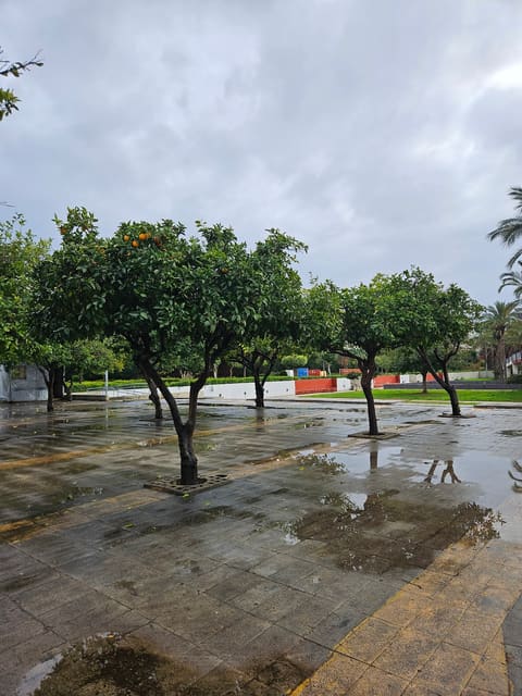 King Fahd Park and Playground — photograph 5