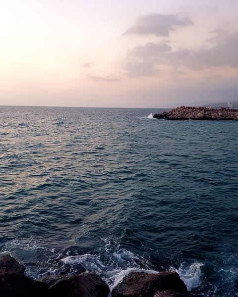 Solemar — photograph 4