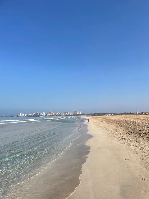 Tyre Coast Nature Reserve — photograph 2