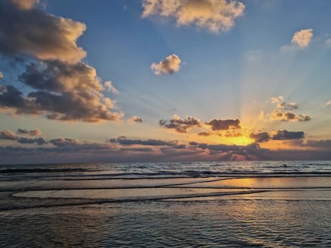 Tyre Coast Nature Reserve — photograph 4
