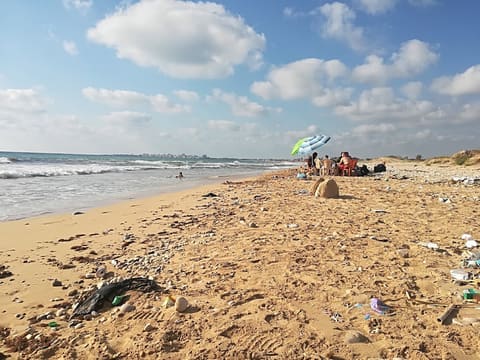 Tyre Coast Nature Reserve — photograph 5
