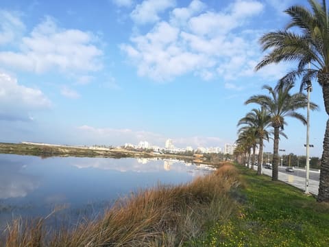 Tyre Coast Nature Reserve — photograph 6