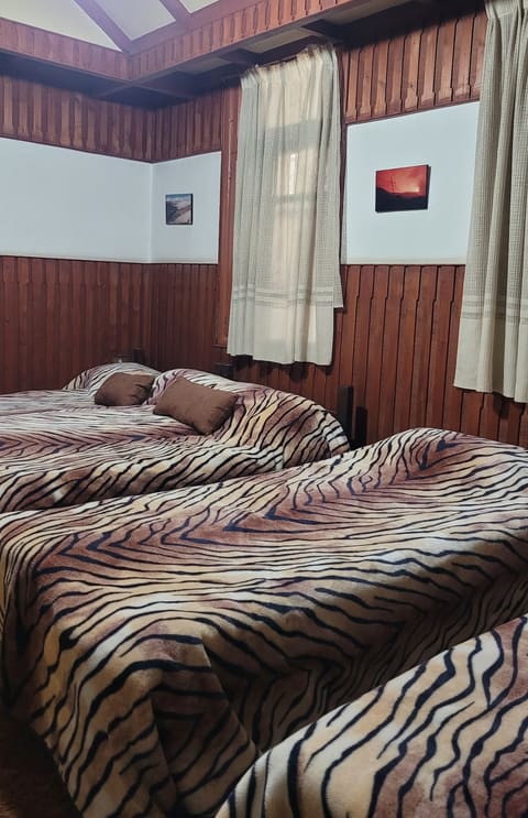 Tiger House — photograph 2